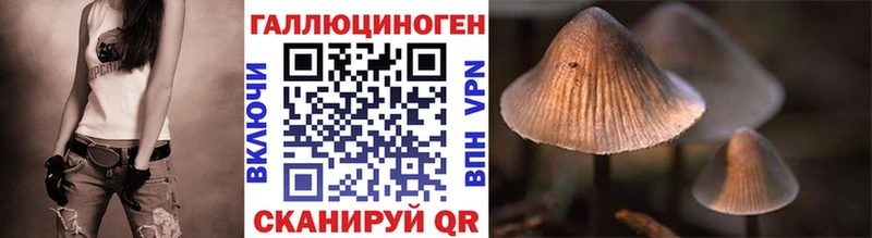 Галлюциногенные грибы Psilocybe  Барнаул 