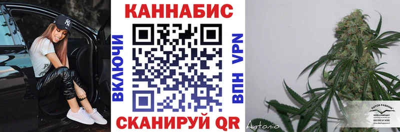 hydra ТОР  Барнаул  Каннабис сатива  где найти  